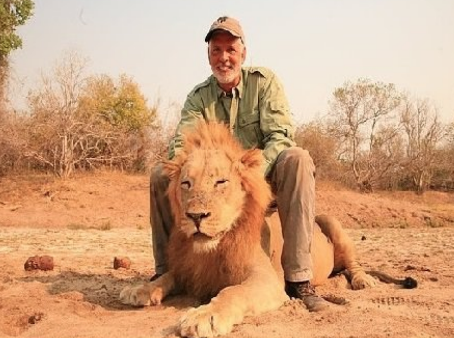 Foto Video Cazador asesina cruelmente león dormido 21 marzo 2019