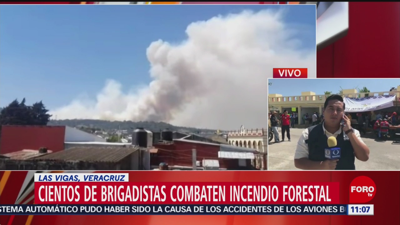 Cientos de brigadistas combaten incendio forestal en Las Vigas, Veracruz