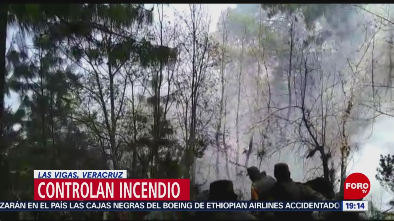 Foto: Controlan Incendio Forestal Veracruz 13 de Marzo 2019