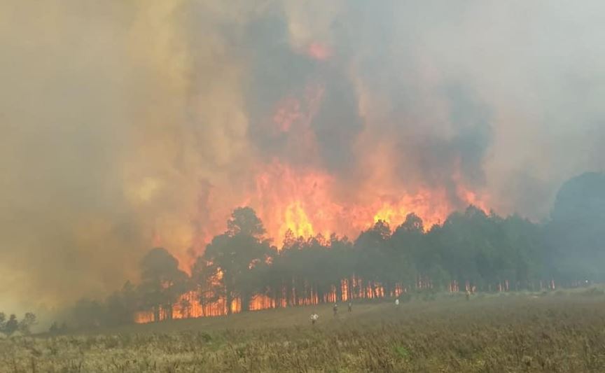 Desalojan a 2 mil personas por incendio forestal en Las Vigas, Veracruz