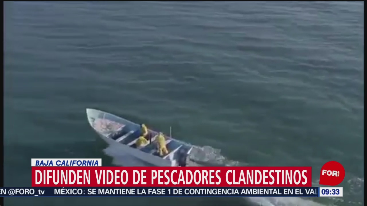 FOTO: Difunden video de pescadores clandestinos en Baja California, 31 Marzo 2019