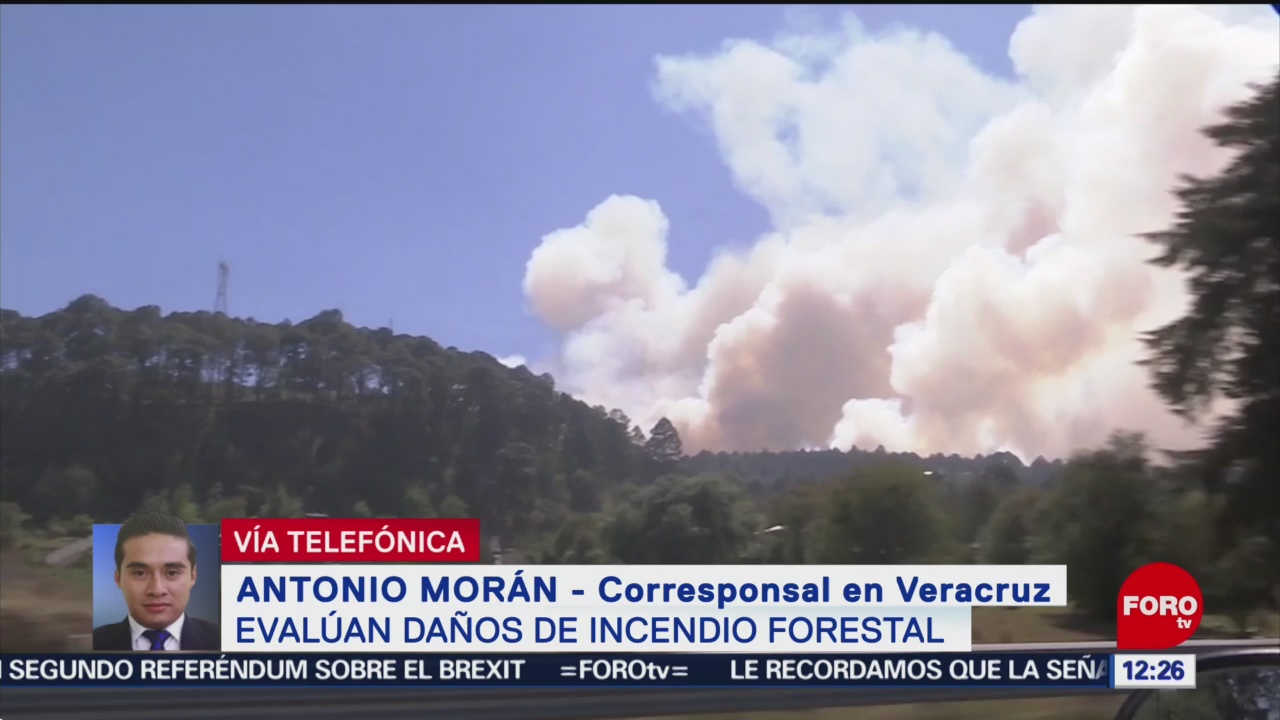 Evalúan daños del incendio forestal en Las Vigas, Veracruz