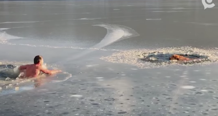 Video: Hombre entra a lago congelado para salvar a dos perritos