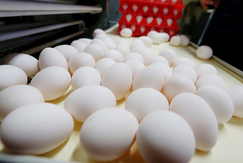 Foto: El huevo permanece como el producto con el precio más elevado en México, marzo 4 de 2019 (Getty Images)