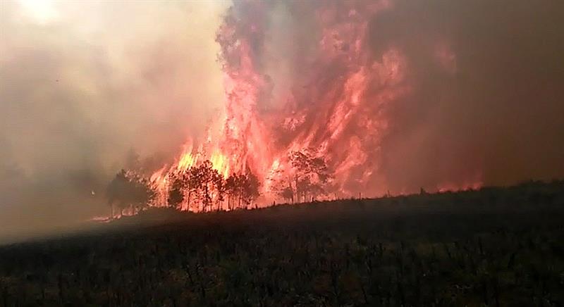 Controlado en 85% el incendio forestal en Las Vigas, Veracruz