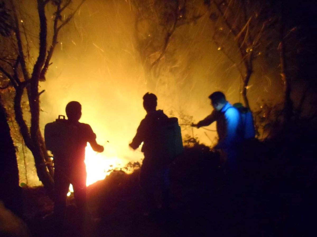 Incendios forestales consumen viviendas en la costa de Oaxaca