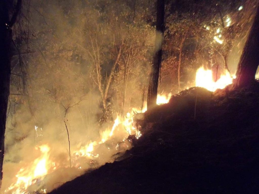 Foto: Incendios forestales consumen viviendas en la costa de Oaxaca 28 marzo 2019