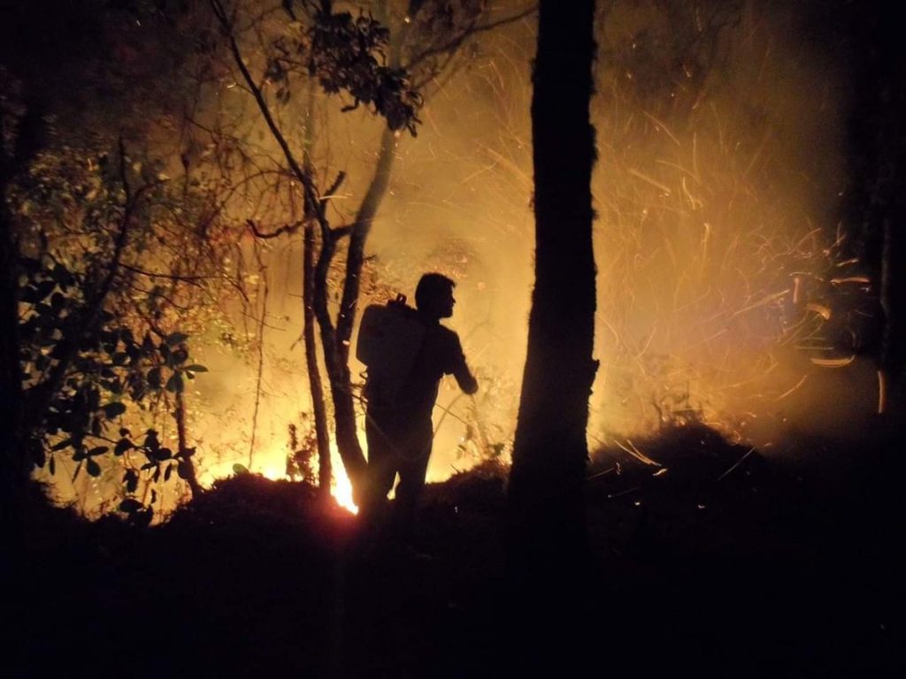 Foto: Incendios forestales consumen viviendas en la costa de Oaxaca 28 marzo 2019