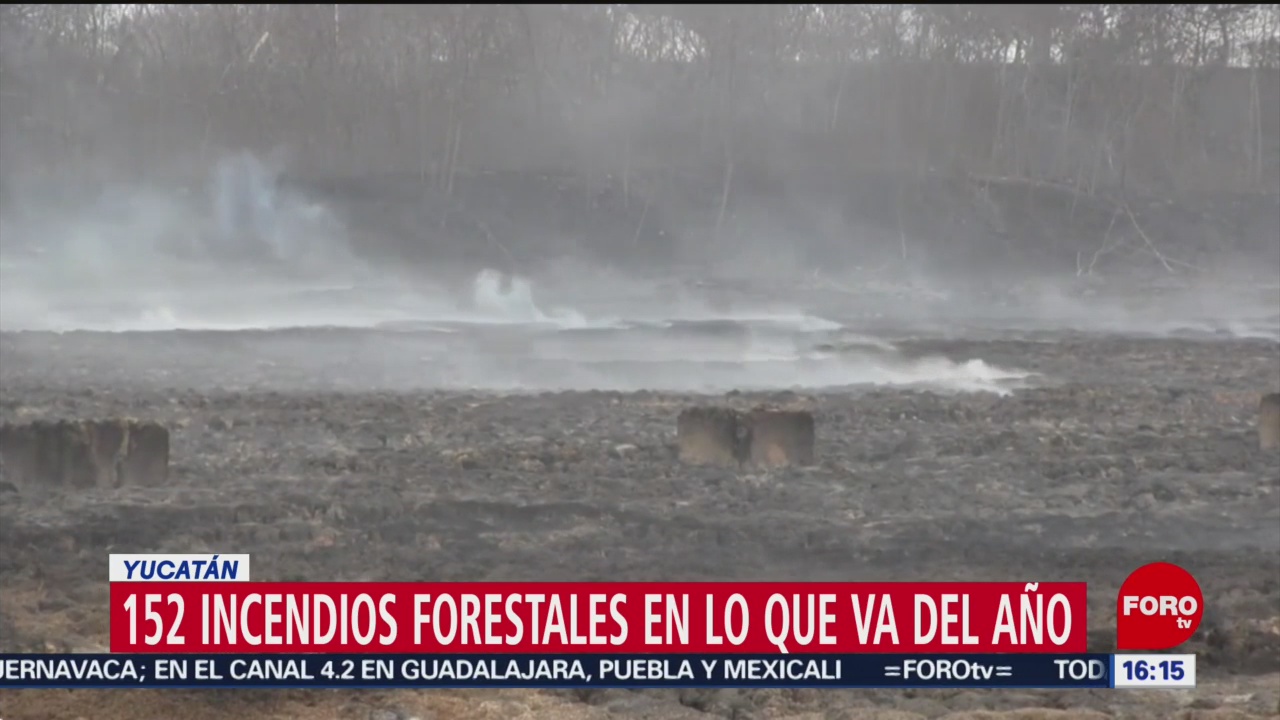 Foto: Temporada Incendios Forestales Yucatán 29 de Marzo 2019