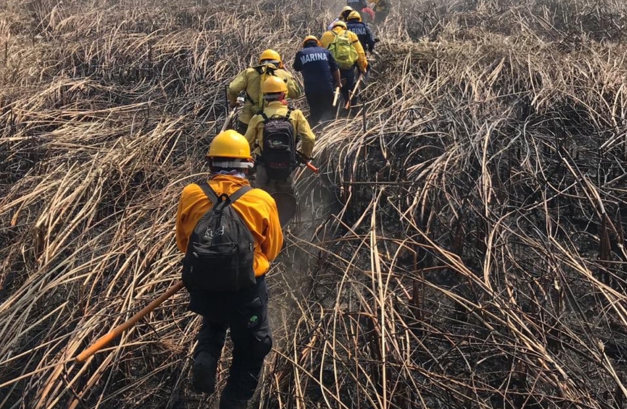 Incendio consume más de mil hectáreas en reserva La Encrucijada