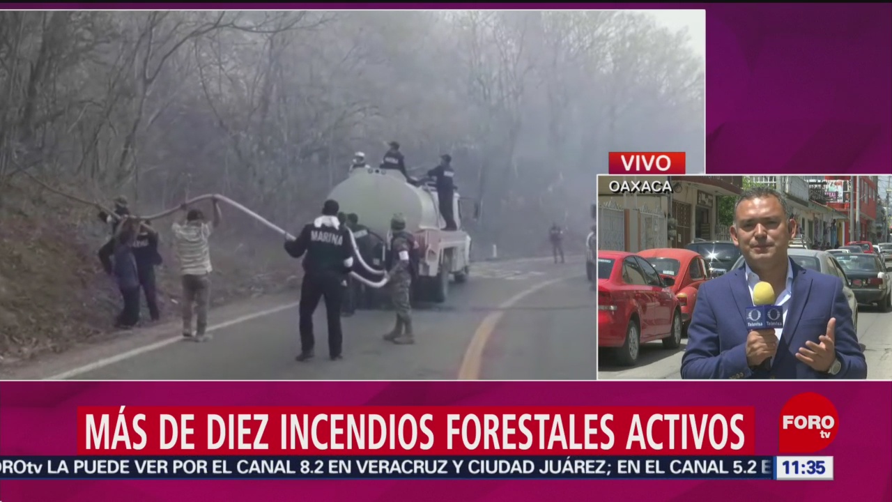 FOTO: Más de 10 incendios forestales afectan al estado de Oaxaca, 30 Marzo 2019