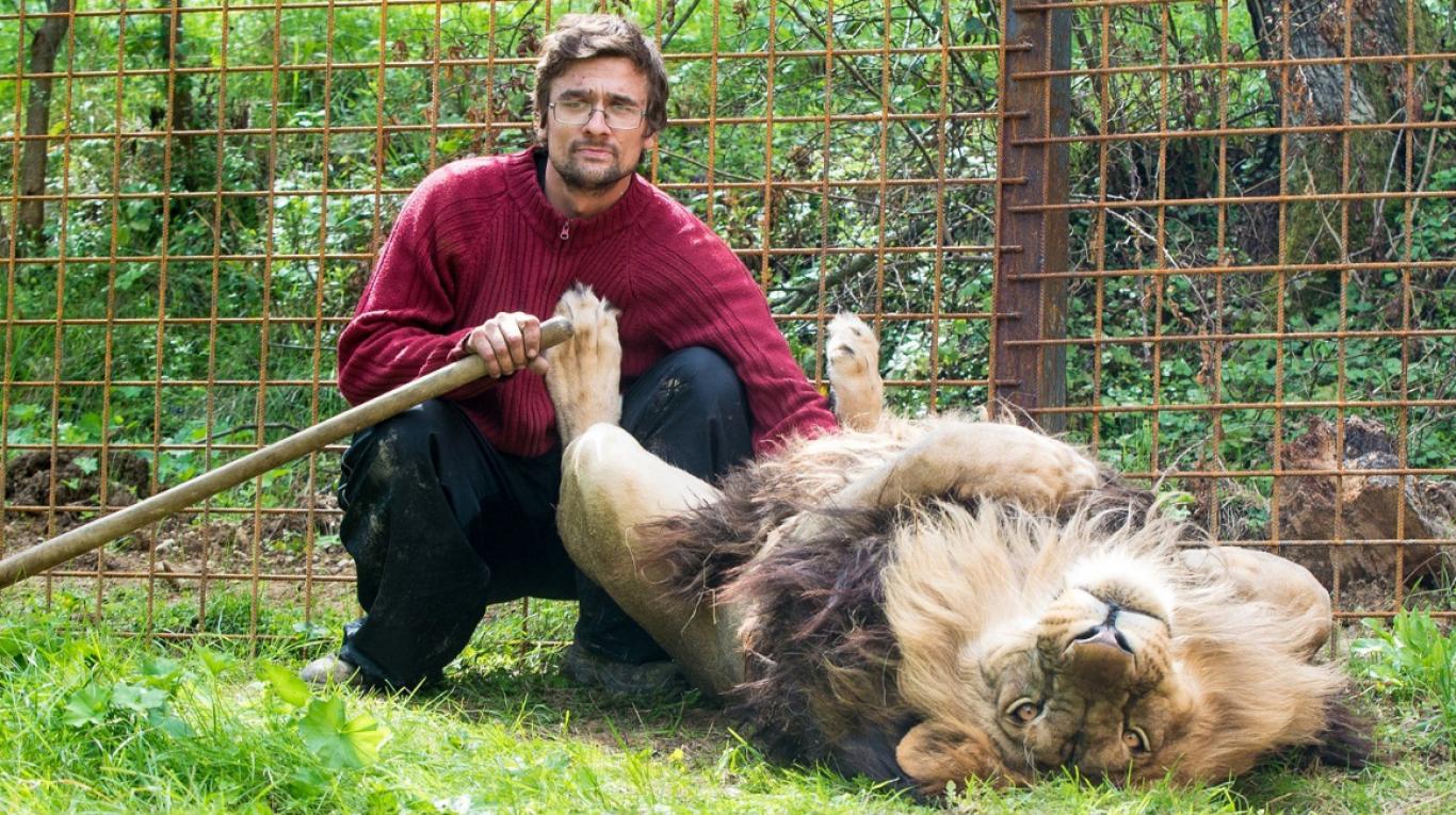Muere hombre devorado por león que tenía como mascota