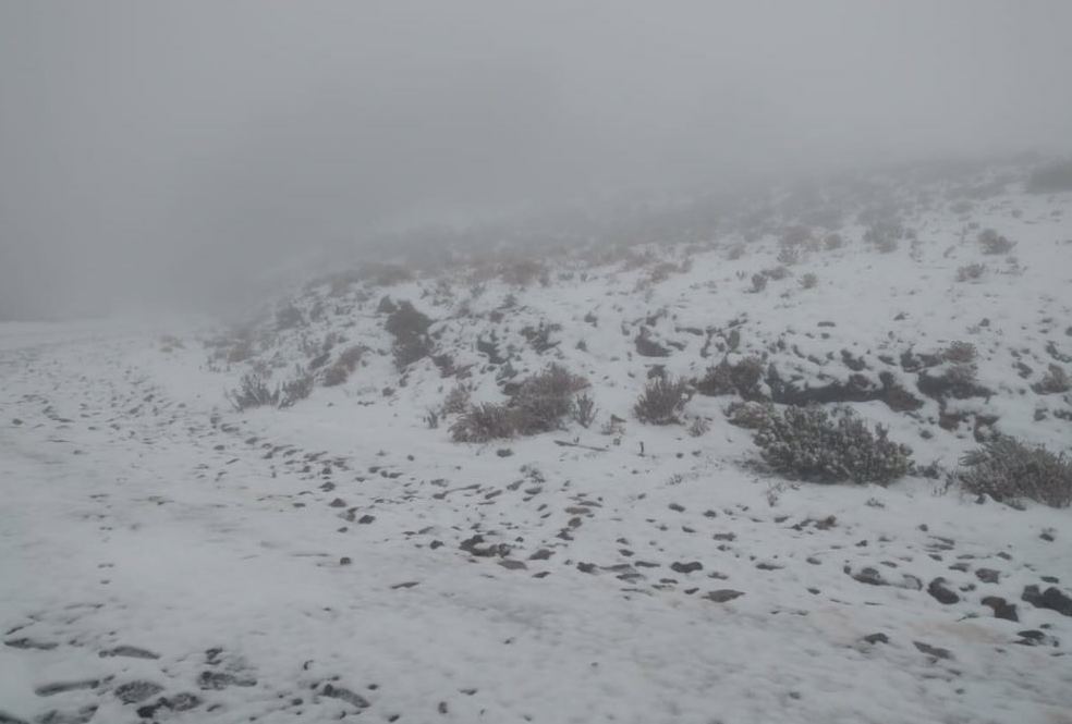 FOTO Nieve cubre el Cerro del Potosí, en Nuevo León, a días de que inicie la primavera (Protección Civil NL 18 marzo 2019