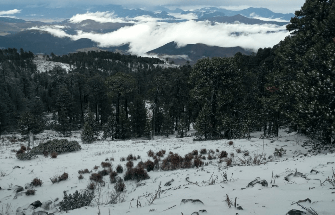 FOTO Nieve cubre el Cerro del Potosí, en Nuevo León, a días de que inicie la primavera Protección Civil 18 marzo 2019