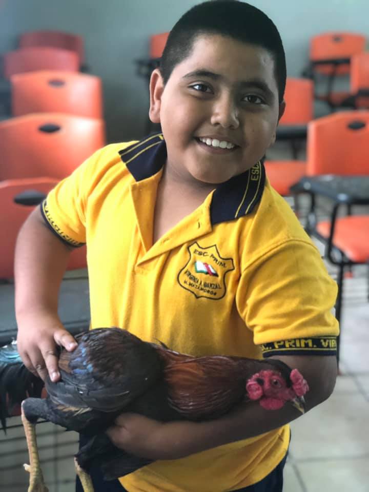foto niño regala gallo a maestra viral facebook 3