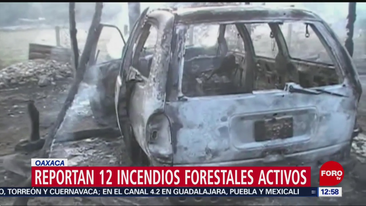Foto: Oaxaca Registra Incendios Forestales Activos 29 de Marzo 2019