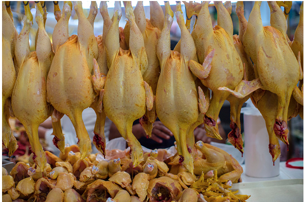Foto: Pollos en un mercado de México, 31 de octubre de 2015, México