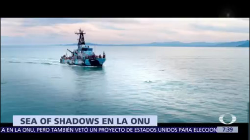 Presentan ante ONU el documental Sea of shadows