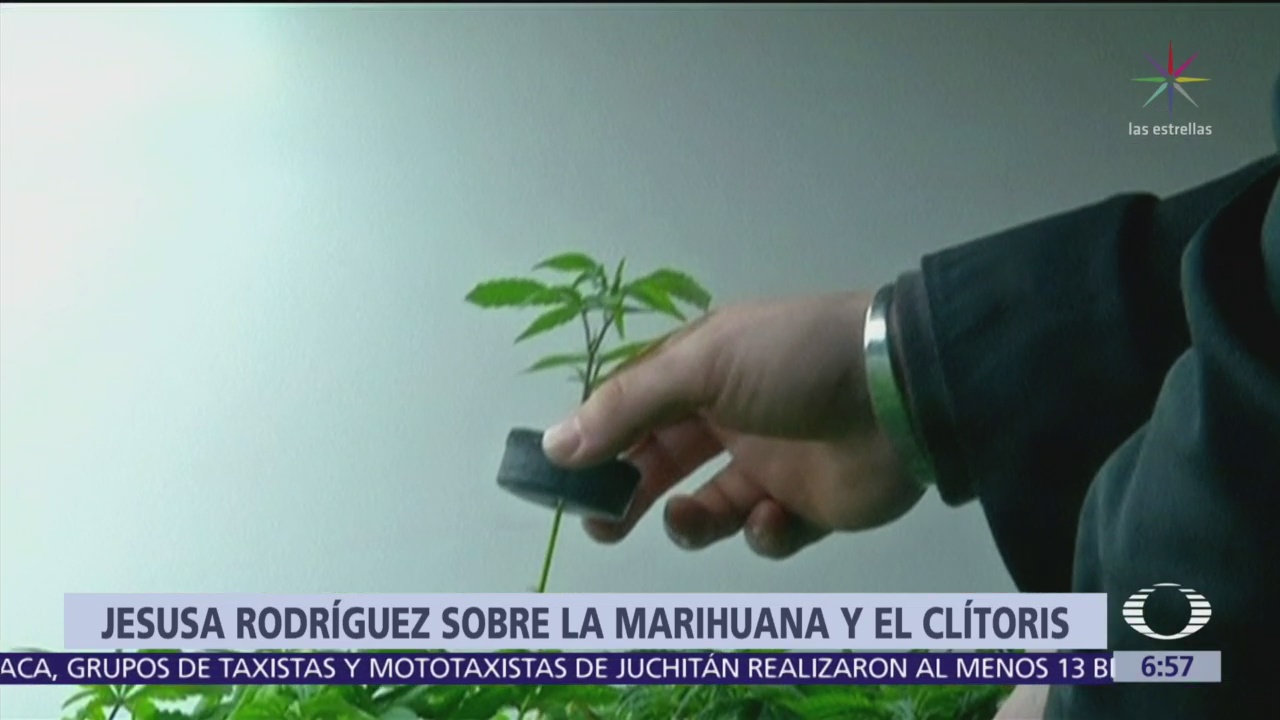 Senadora de Morena pide no satanizar la marihuana