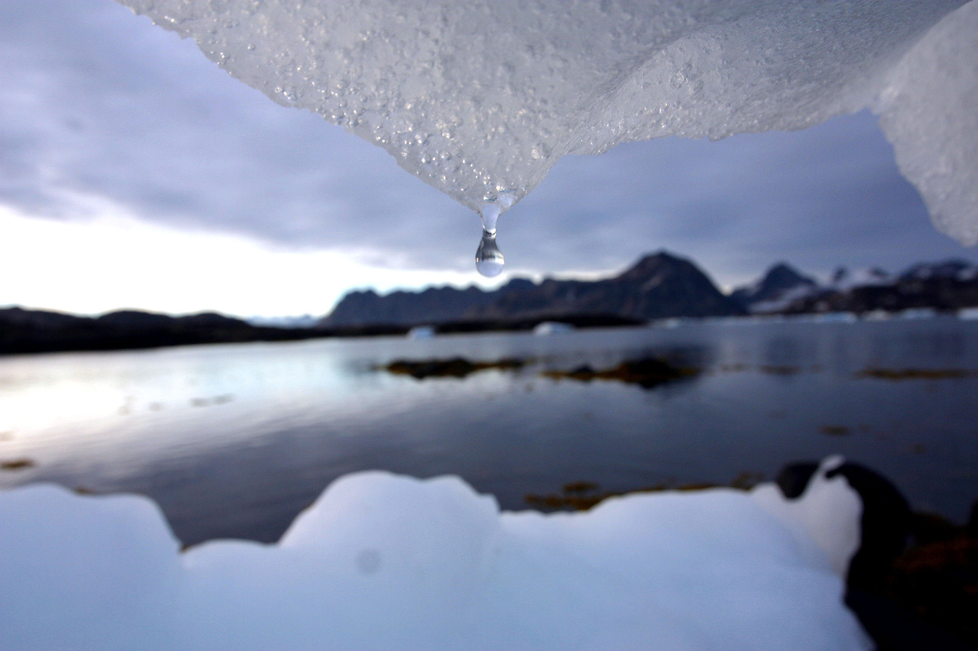 Temperatura del Ártico subirá entre 3 y 5 grados hasta 2050: ONU