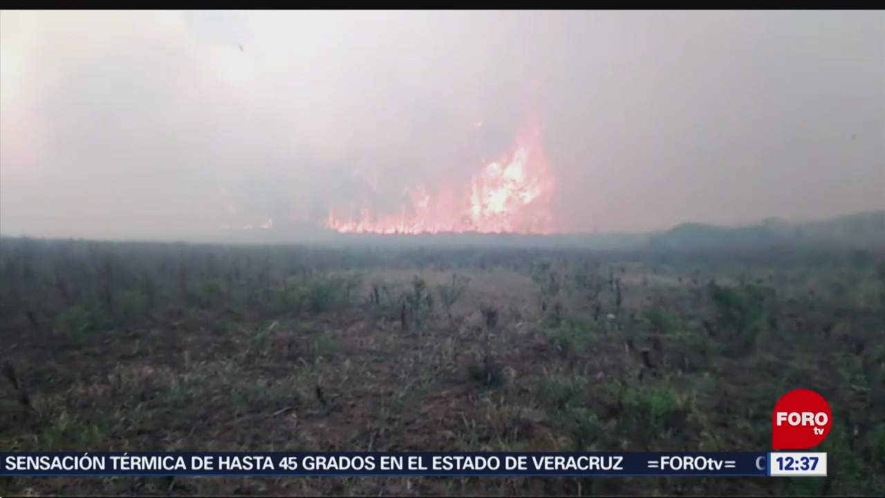 Viento impide sofocar incendio forestal activo en Veracruz