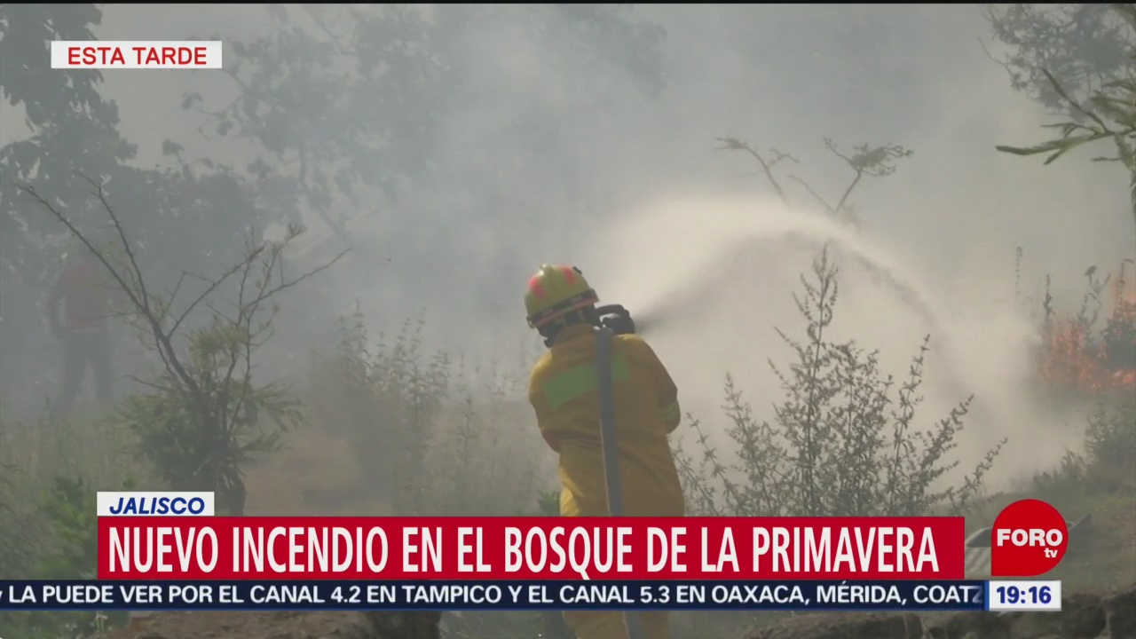 Foto: Alerta Atmosférica Incendio Bosque Primavera Jalisco 12 de Abril 2019