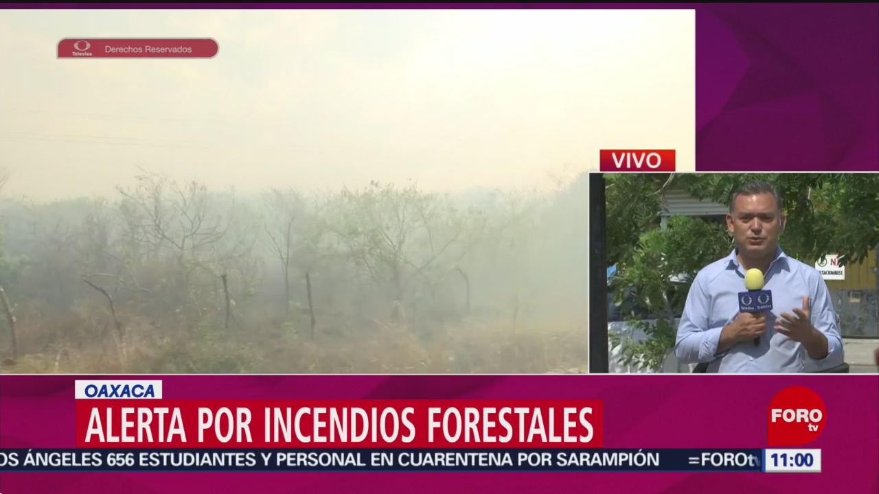 FOTO: Alerta en Oaxaca por incendios forestales, 27 ABRIL 2019