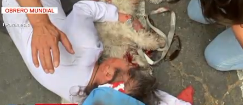 Un pitbull ataca a anciana y a su perro en la CDMX