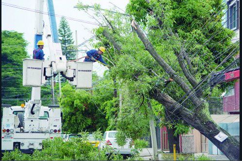 Fuertes vientos derriban árboles en Guadalajara, Jalisco