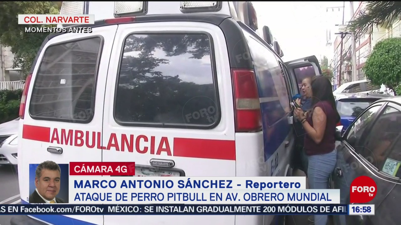 Foto: Ataque de perro Pitbull en Avenida Obrero Mundial, CDMX, deja un herido