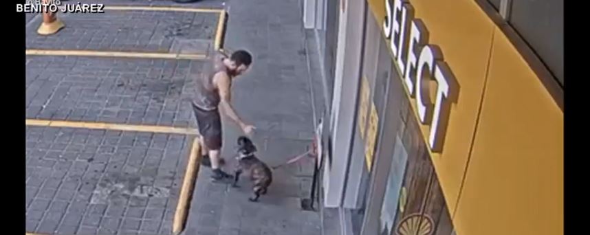 Video muestra robo de perro ‘Bayito’
