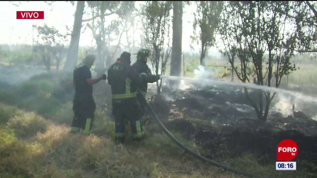 Bomberos trabajan en incendio de pastizales en Xochimilco