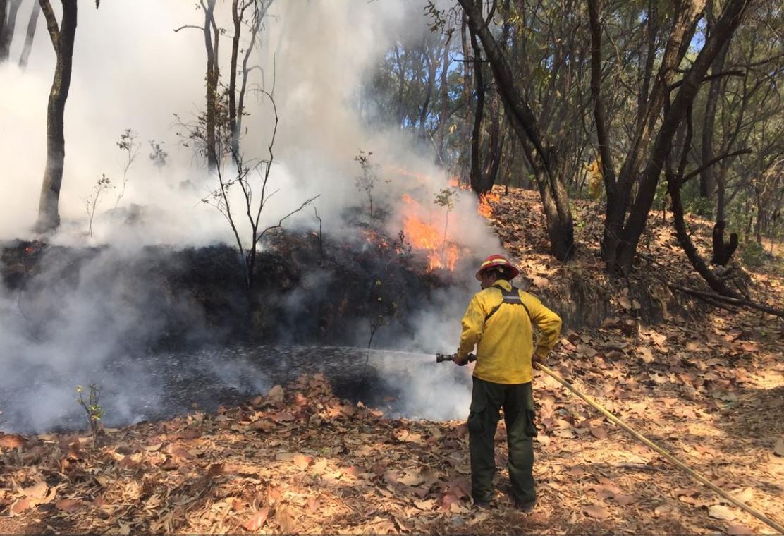 Sofocan otros tres incendios en el Bosque de la Primavera