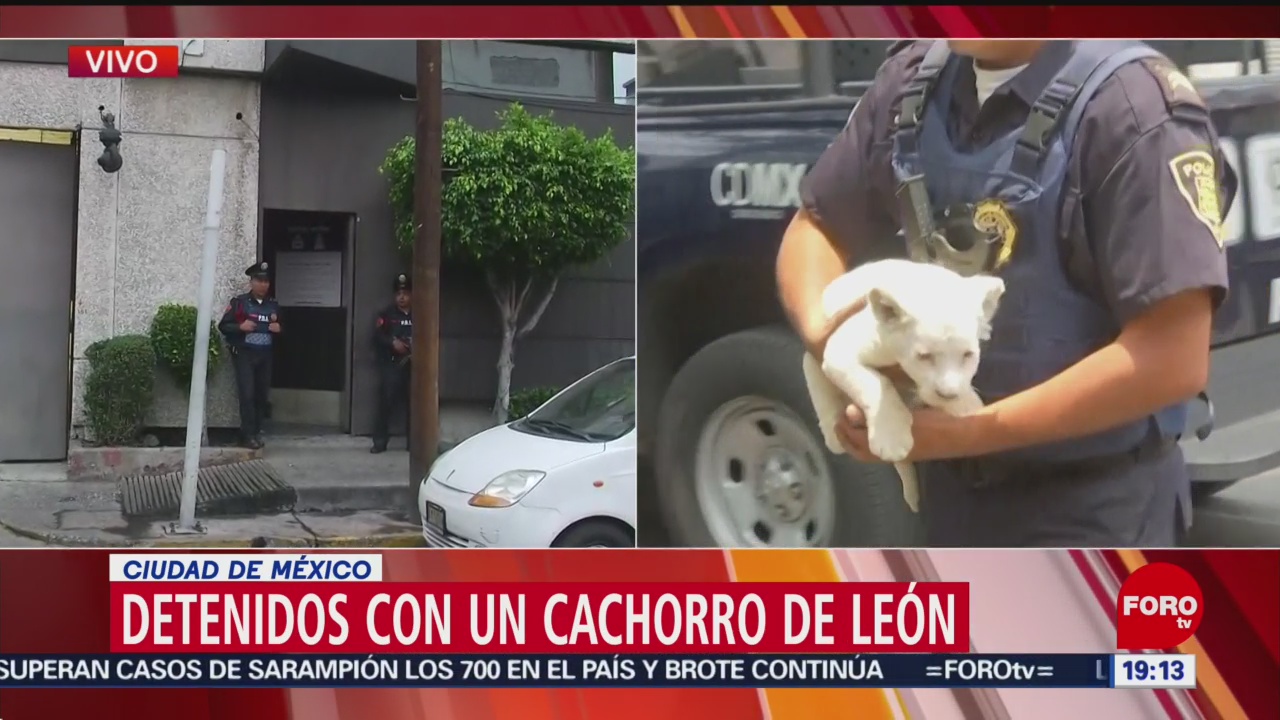Foto: Cachorro León Necesita Alimento CDMX 29 de Abril 2019