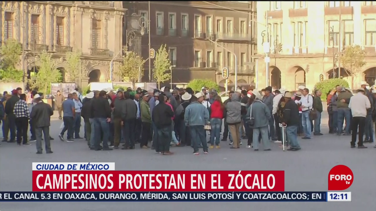 Campesinos protestan frente a Palacio Nacional, CDMX