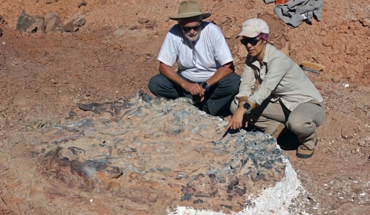 Descubren cementerio de dinosaurios de 200 millones de años