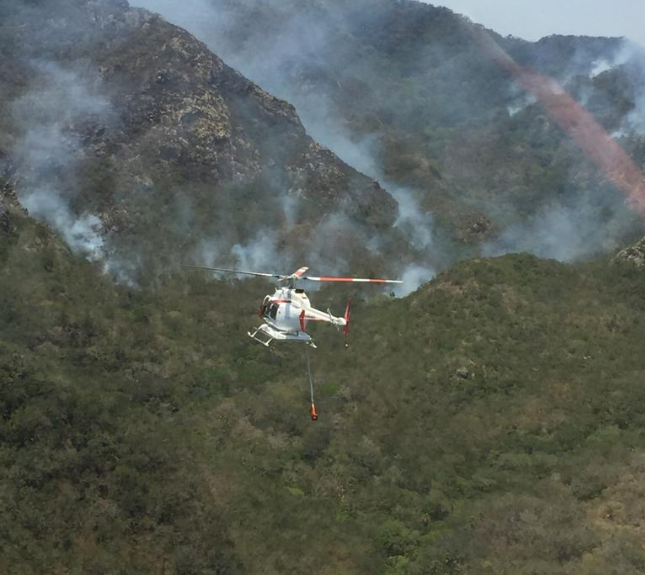 Foto: Combate a incendio forestal en Veracruz, abril 2019, México