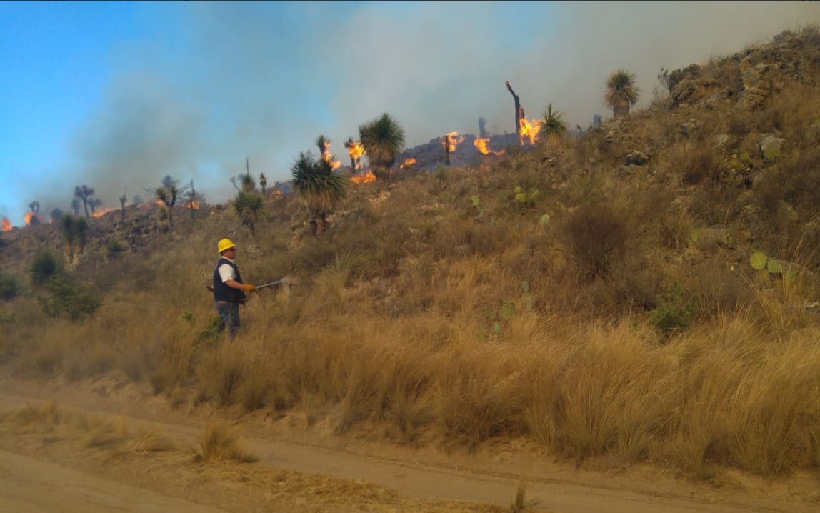 Foto: brigadistas contra incendios forestales en Puebla. 11 de abril 2019. Twitter @PC_Estatal