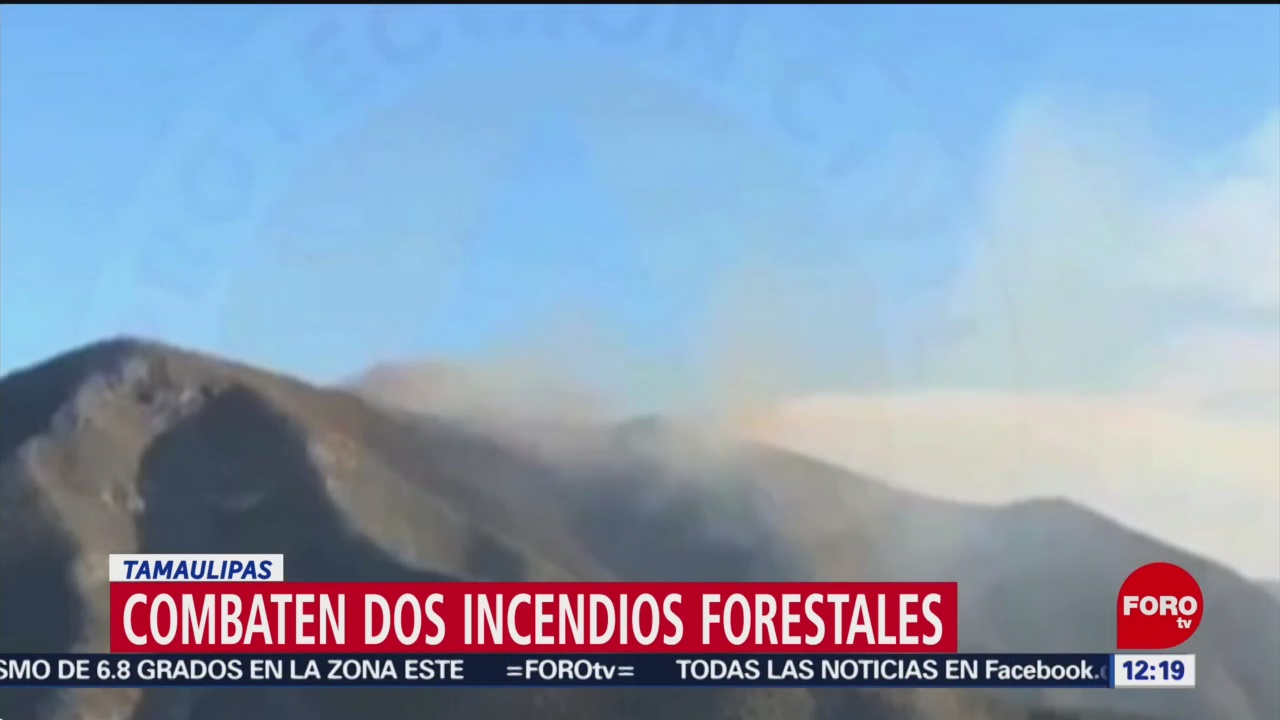 Combaten dos incendios forestales activos en Tamaulipas