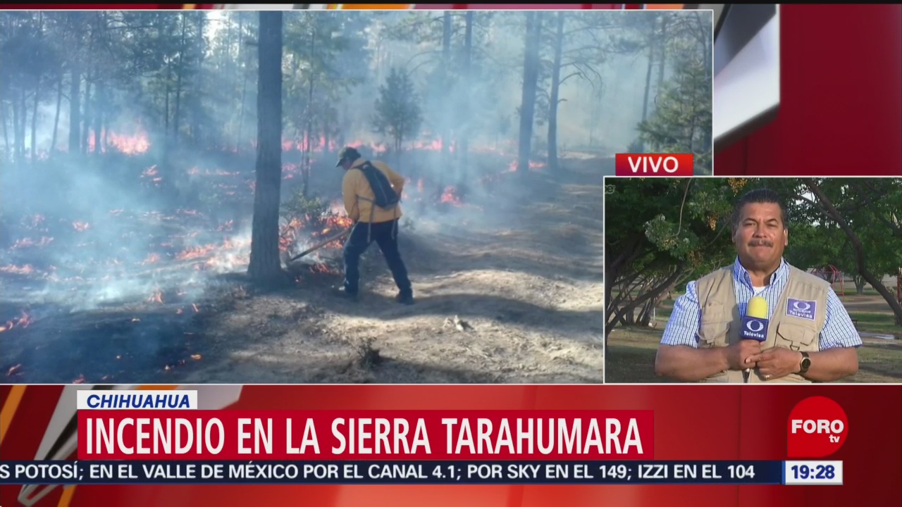 Foto: Controlan Incendio Municipios Sierra Chihuahua 23 de Abril 2019