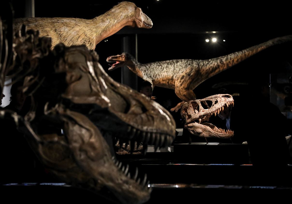 Crearán 'parque jurásico' de dinosaurios en Coahuila