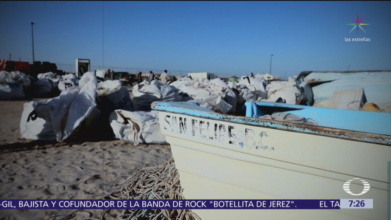 Disturbios en San Felipe, aprovechados para saquear instalaciones de Profepa