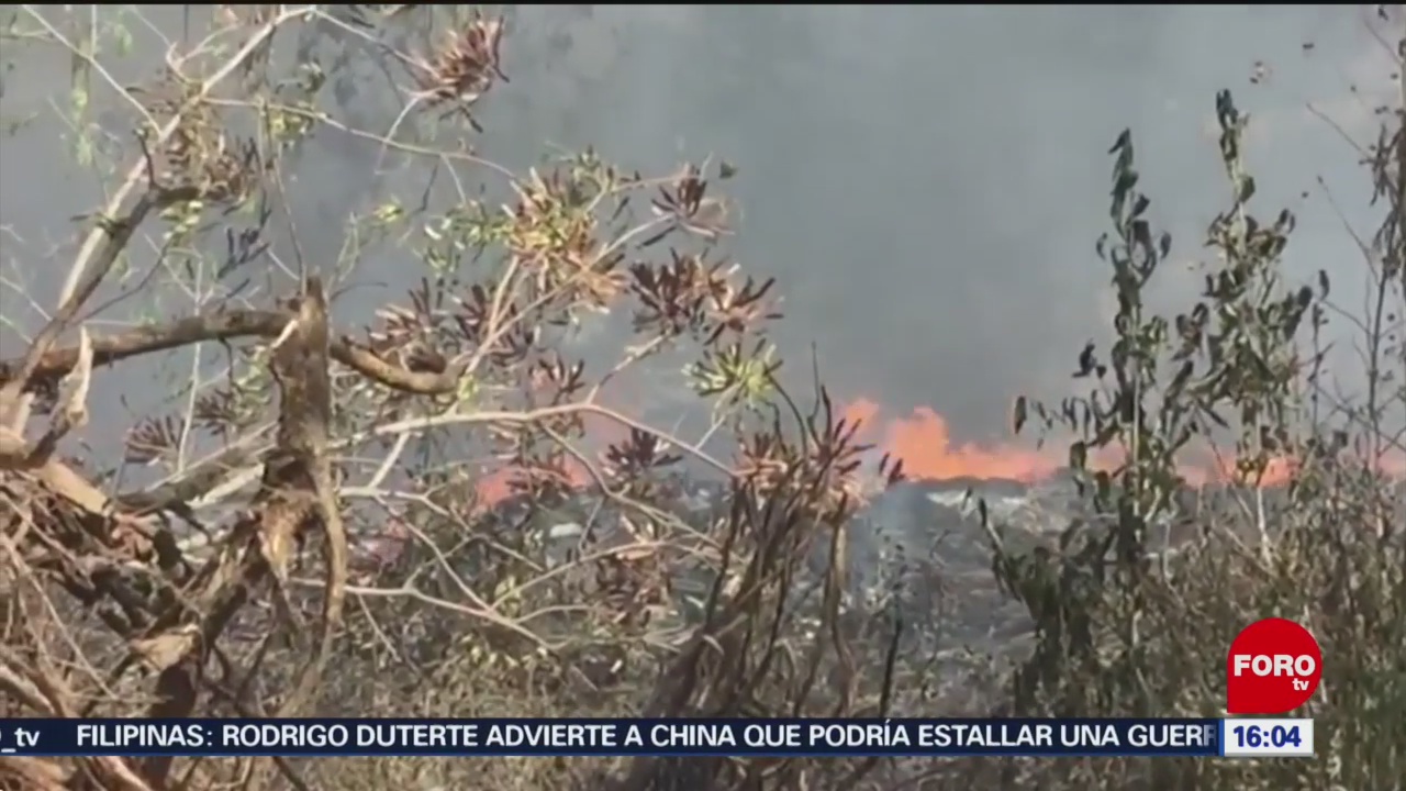 FOTO: Dos incendios forestales consumen áreas naturales en Quintana Roo, 7 de abril 2019