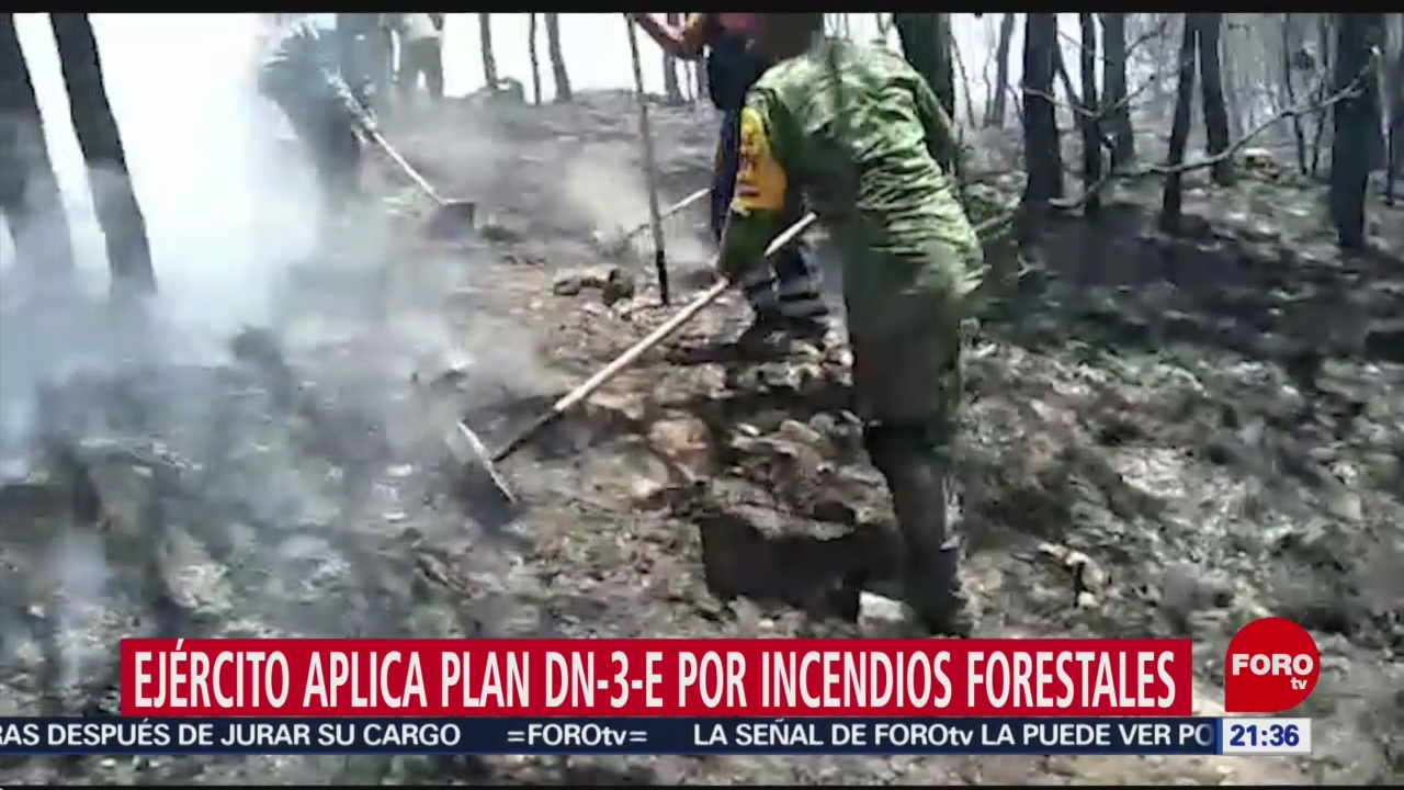 FOTO: Ejército aplica Plan DN-3-E por incendios forestales, 14 de abril 2019