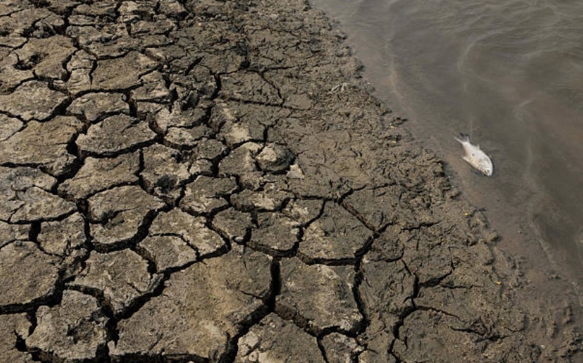 ‘El Niño' será débil; habrá altas temperaturas y menos lluvias: Conagua