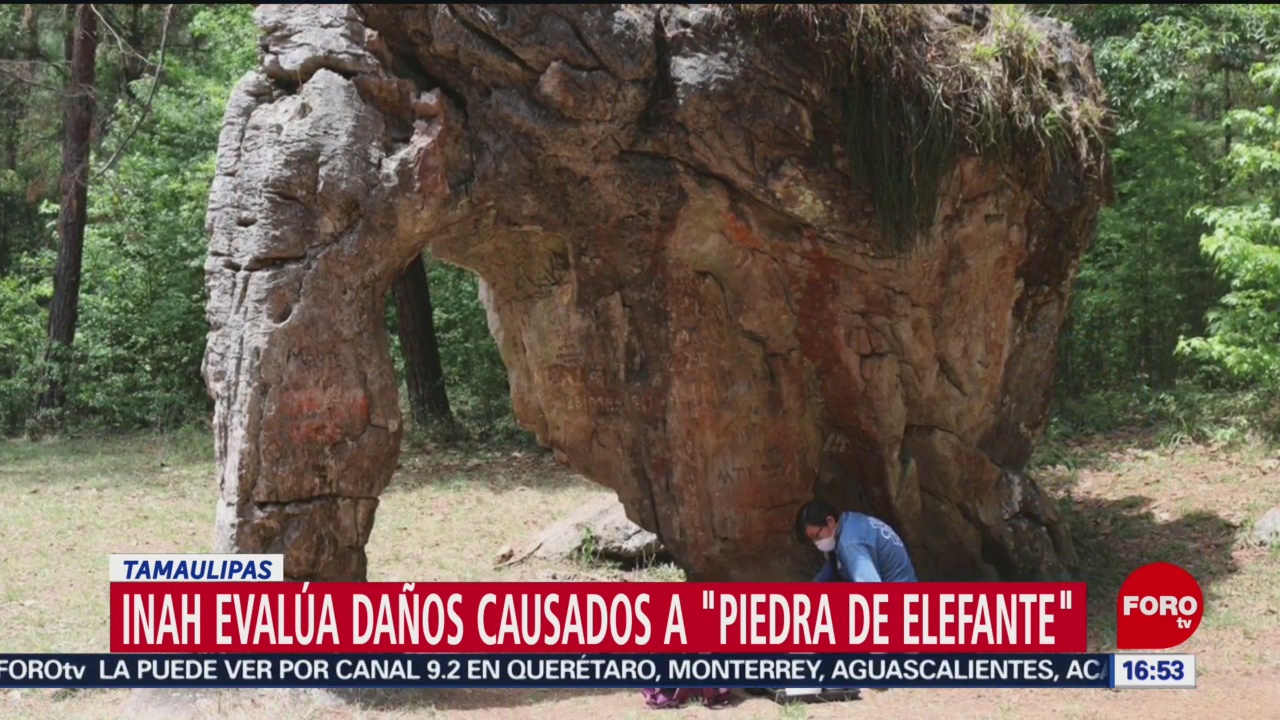 Foto: Especialistas evalúan daños a Piedra de Elefante