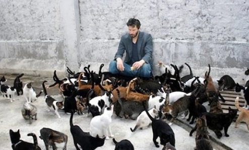 Foto: Imagen falsa del actor Keanu Reeves rodeado por gatos