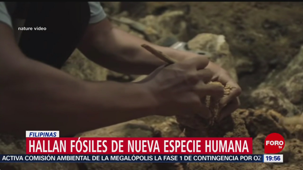 Foto: Fósiles Nueva Especie Humana Filipinas 10 de Abril 2019