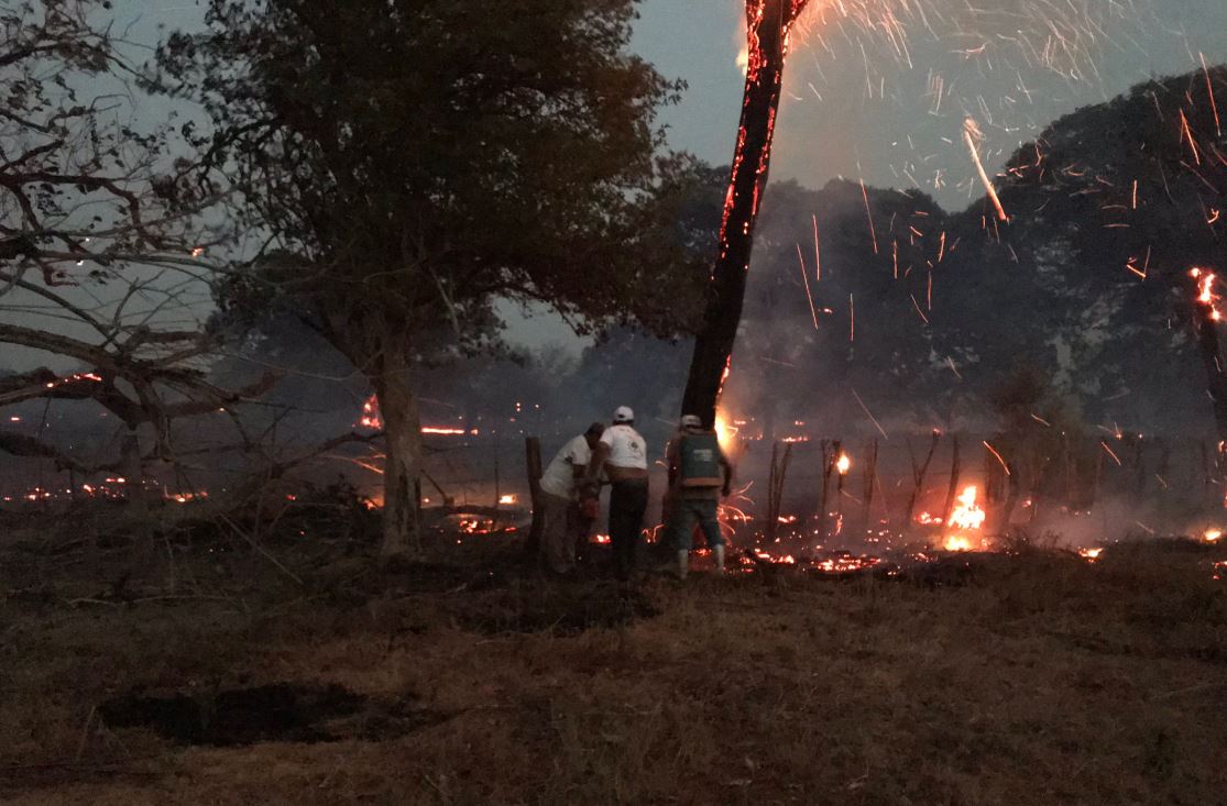 Foto: Brigadistas trabajan para apagar un incendio forestal en Pijijiapan, Chiapas, 27 abril 2019