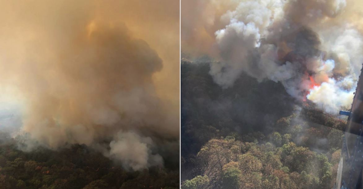 Incendio en Bosque de la Primavera activa contingencia ambiental en Zapopan, Jalisco